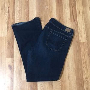 American Eagle Artist jeans 18R